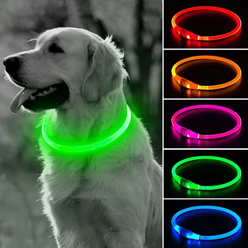 LED Hundehalsband