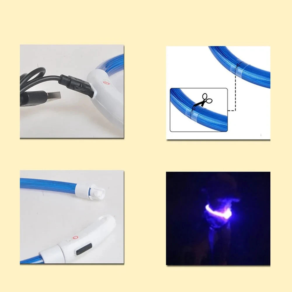 LED Hundehalsband