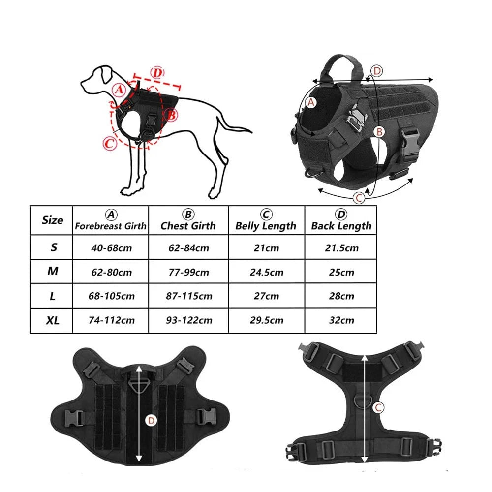 Hundegeschirr und Leinenset