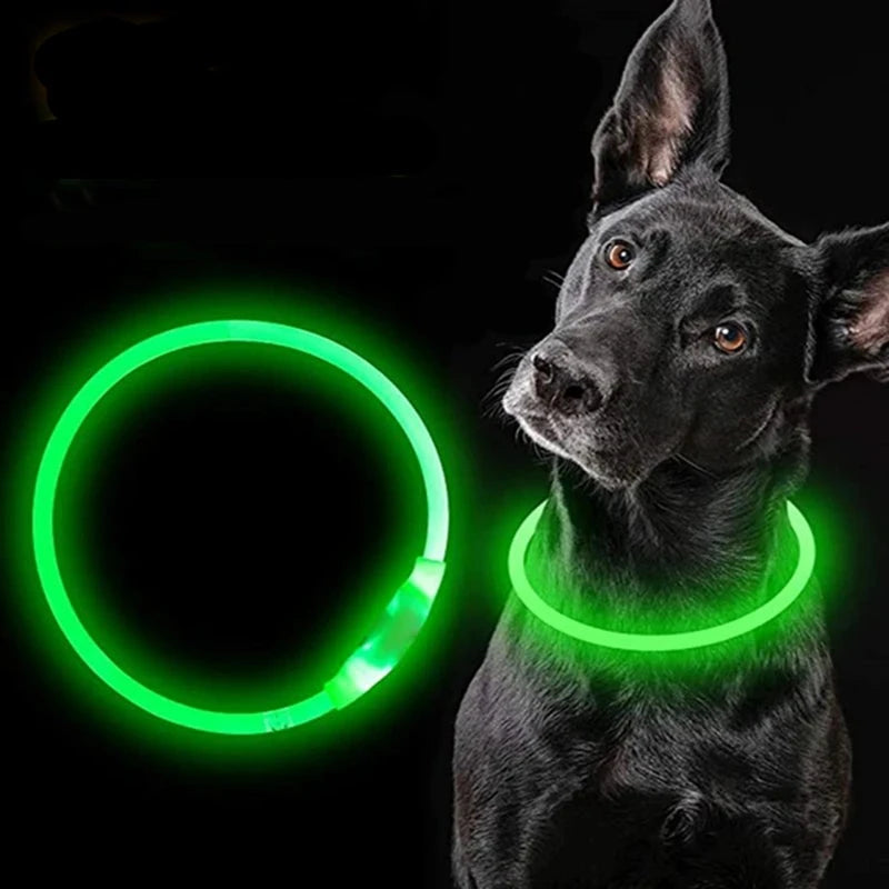 LED Hundehalsband