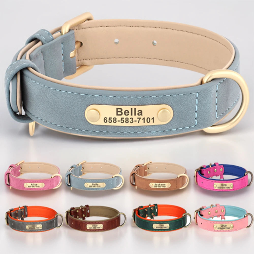 Personalisiertes Hundehalsband