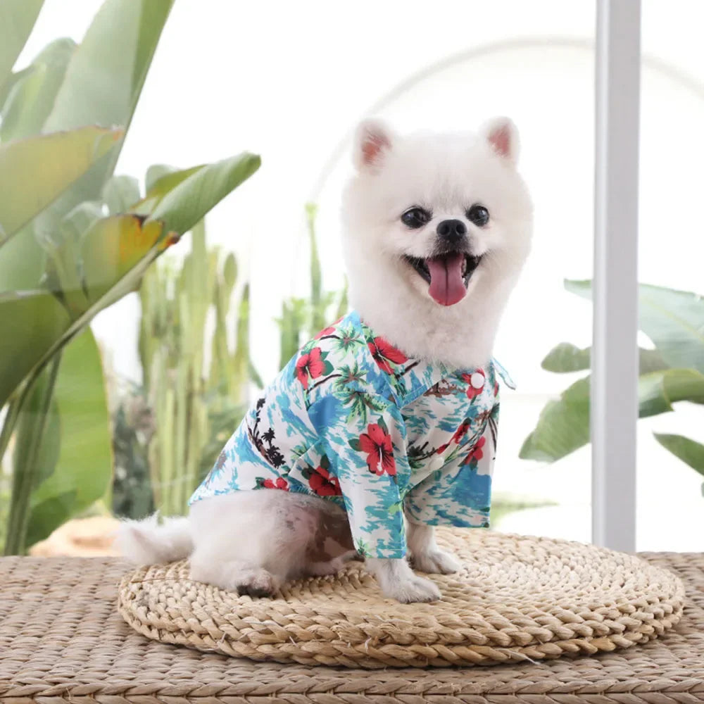 Hawaiian Tropical Hunde-T-Shirts