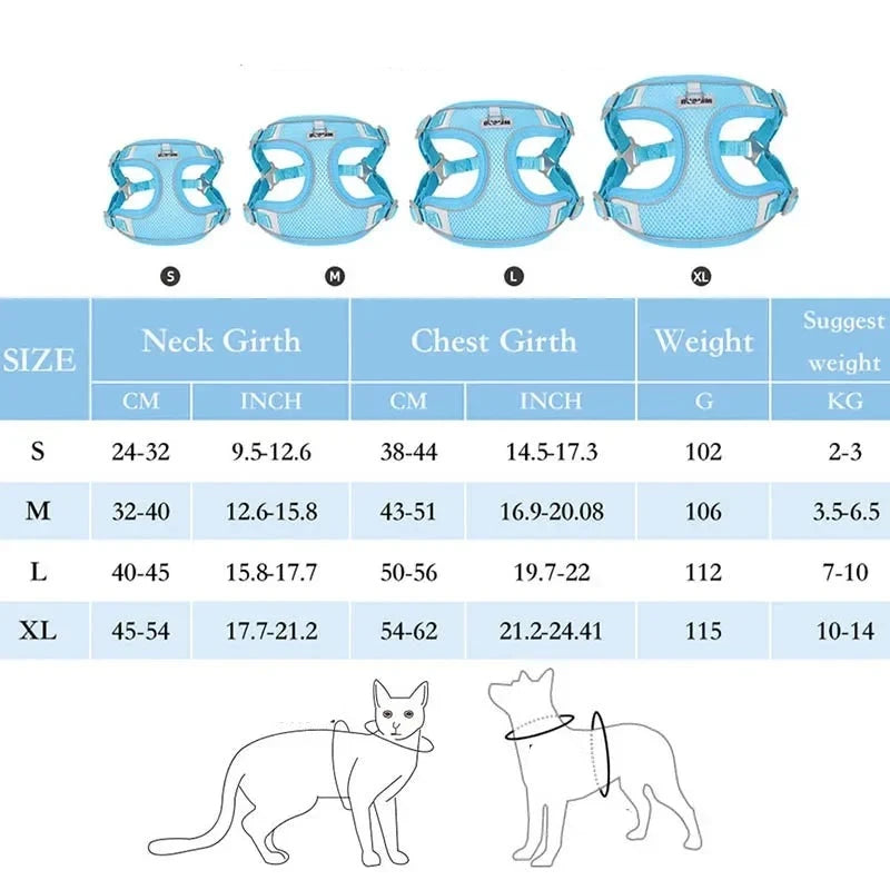 Hundegeschirr Leinen Set