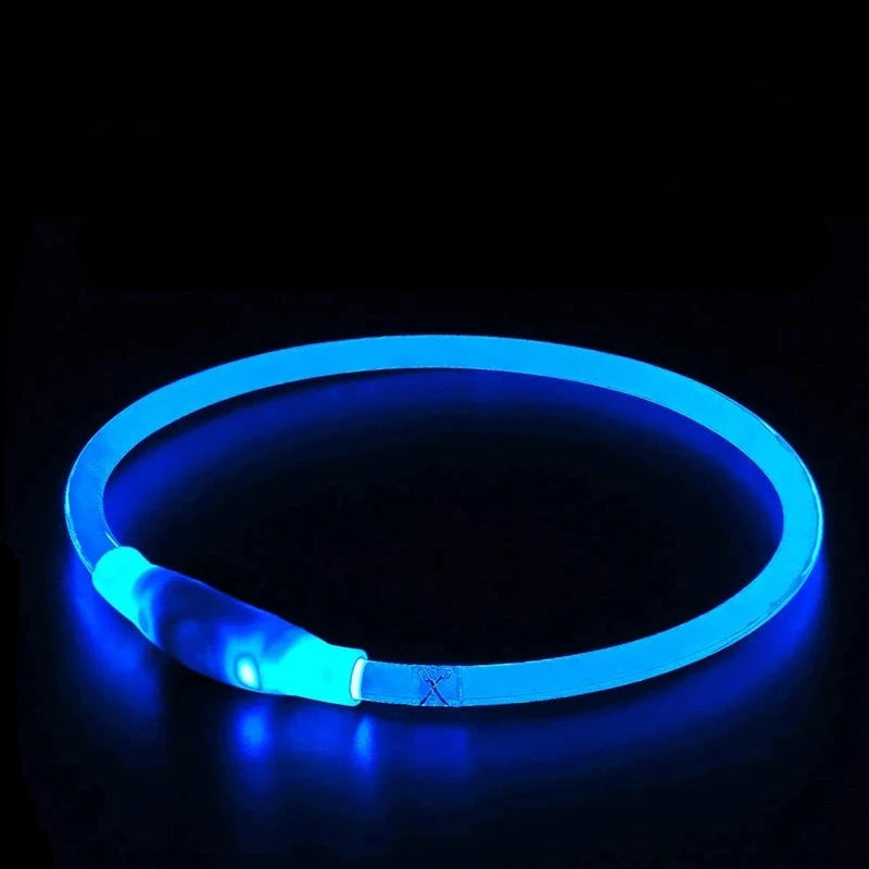 LED Hundehalsband