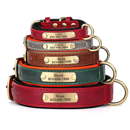 Personalisiertes Hundehalsband