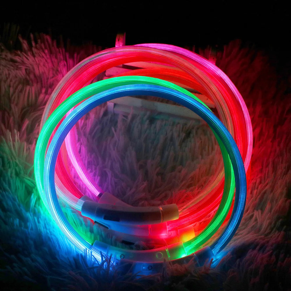 LED Hundehalsband